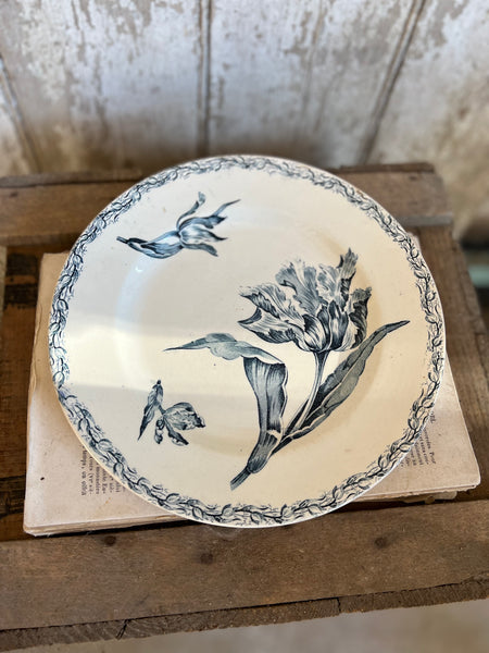 Beautiful Luneville Tulip Transfer Plate