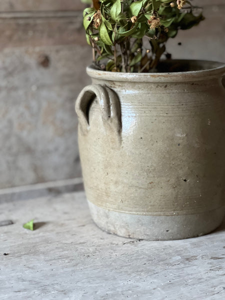 French Confit Jar Small