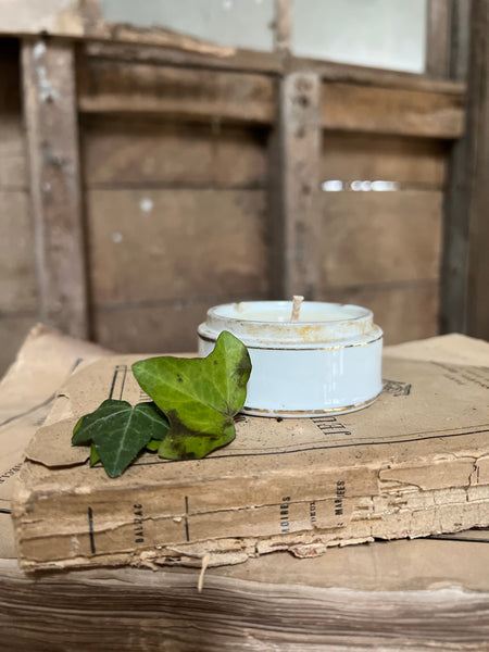 Vintage Paste Pot Candle in Winter Honeysuckle & Elderflower