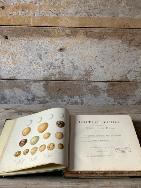 Large British Birds with their Nests and Eggs Book