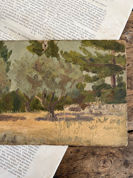 Small Trees Oil on Board