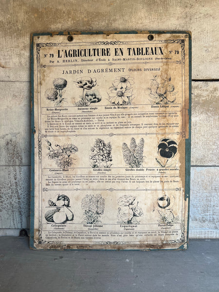 French Vintage Botanical Poster