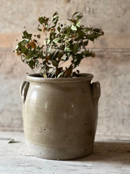 French Confit Jar Small