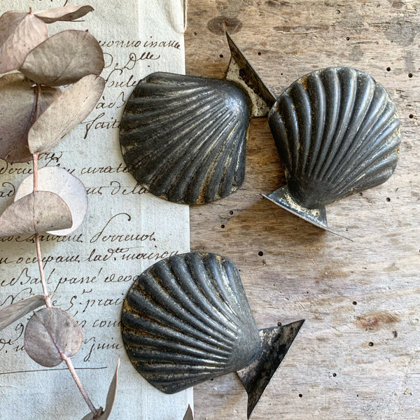 Vintage French Scalloped Shell Shape Patisserie Tins