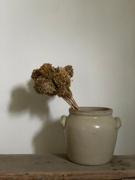 French Confit Jar Medium