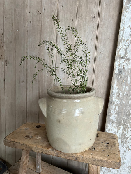 French Confit Jar Medium
