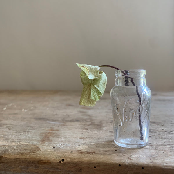 Miniature Virol Bottle