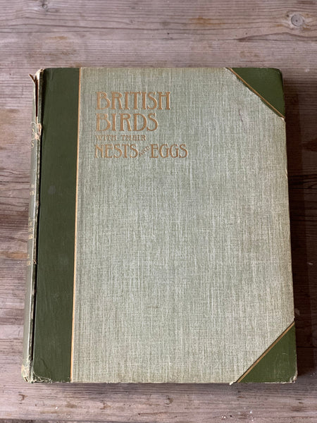 Large British Birds with their Nests and Eggs Book
