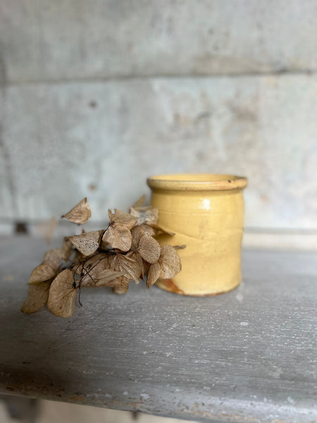Antique Yellow Confiture Pot