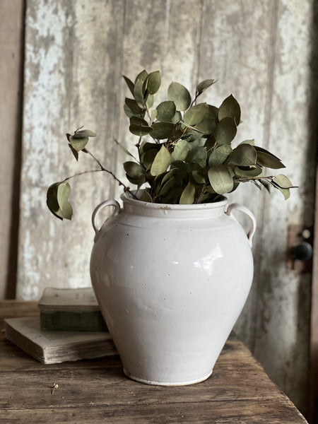 Stunning Italian Confit Jar Large