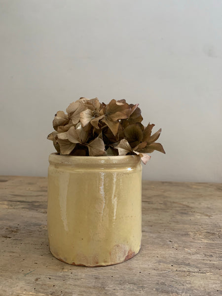 Vintage French Preserves Jar