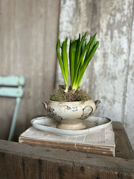 Vintage French Sauce Dish