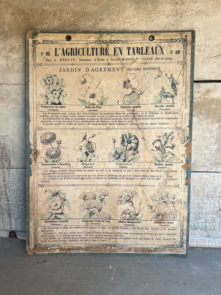 French Vintage Botanical Poster