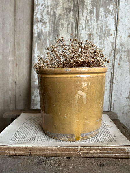 Large Vintage Confiture Pot