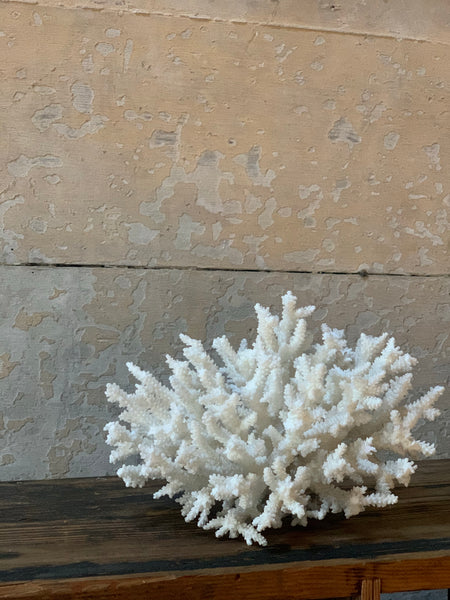 Large Vintage Coral