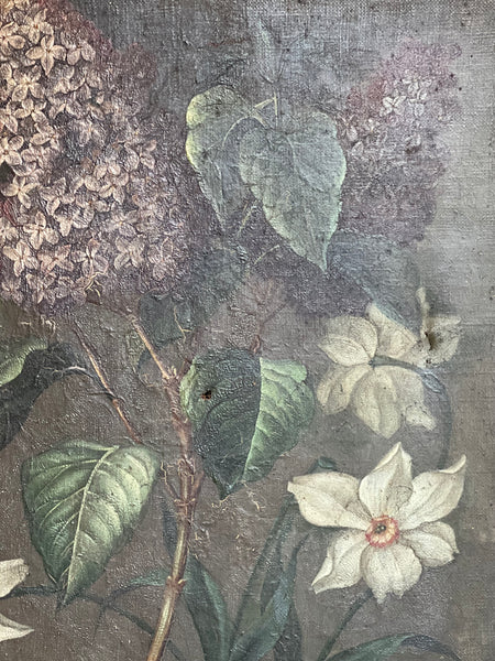 Stunning Lilac on Canvas