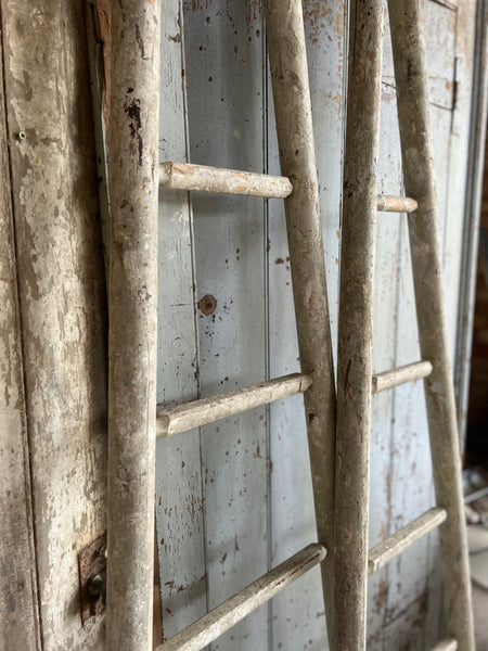 Pair of chippy paint fruit picking ladders