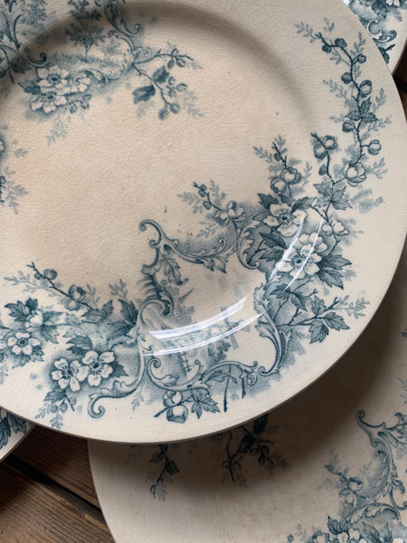 French Vintage Transferware Plates