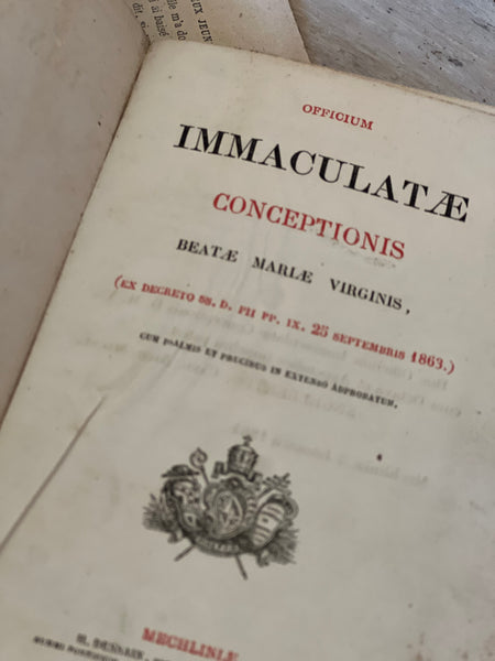 Immaculate Conceptions French Book