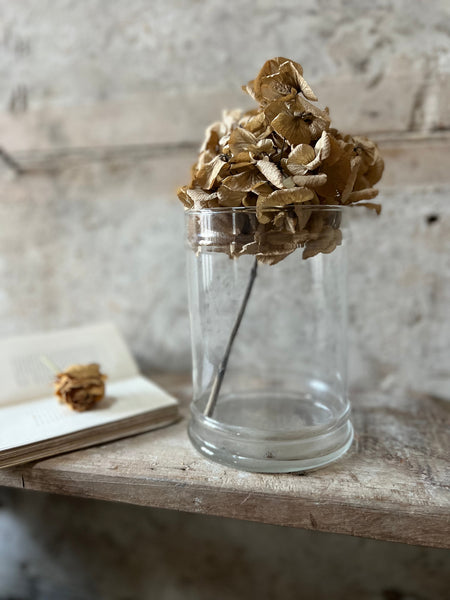 Vintage Chemist Jar