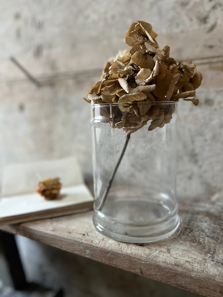 Vintage Chemist Jar