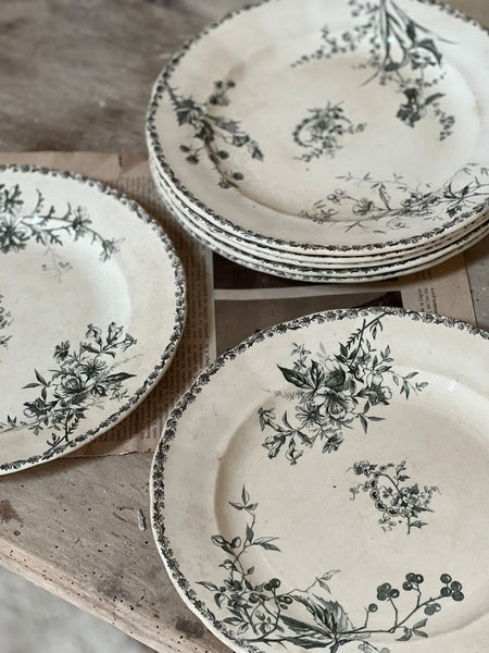 Vintage Transferware Terre de Fer Plates