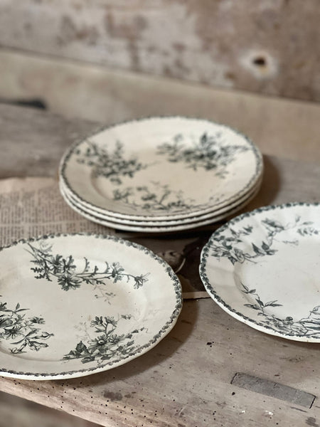 Vintage Transferware Terre de Fer Side Plates