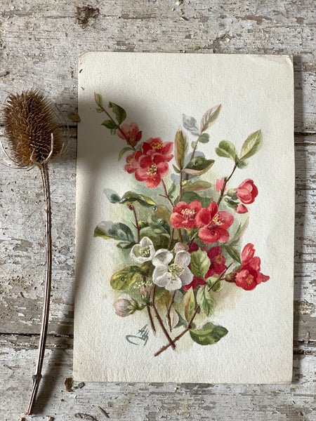 Beautiful Antique Flower Watercolour Painting