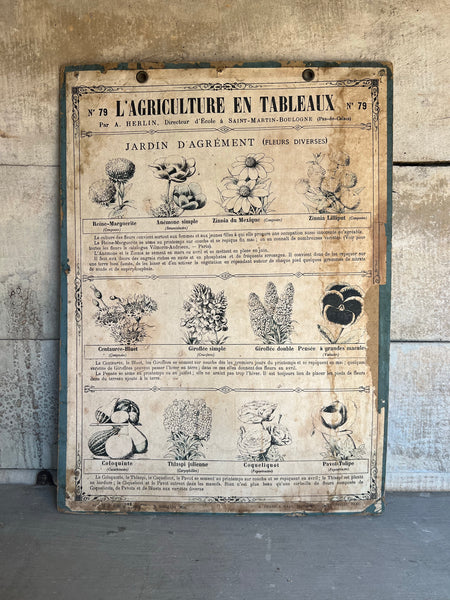 French Vintage Botanical Poster