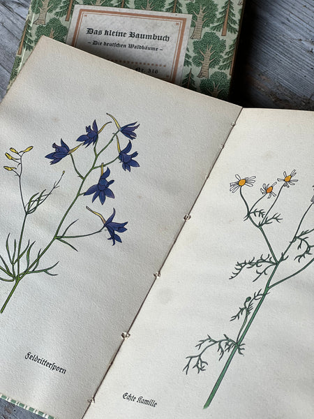 Vintage Books