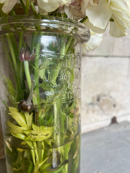 French Vintage Glass Weck Preserves Jar