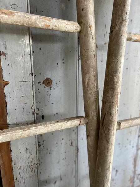Pair of chippy paint fruit picking ladders