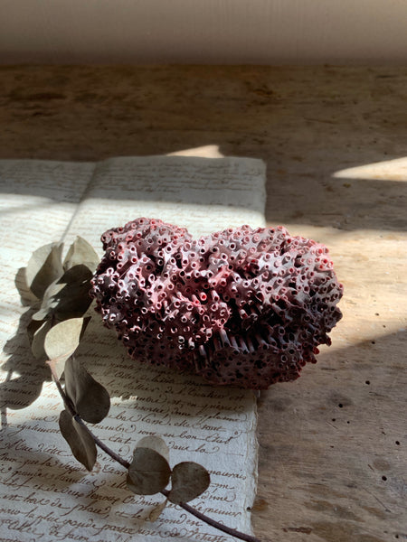 Small Vintage Purple Coral