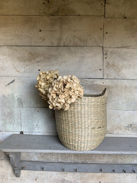 Ivy Joan Collection Baskets