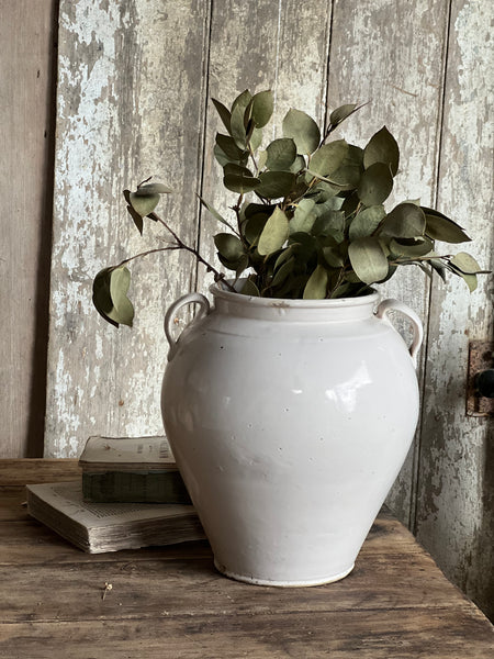 Stunning Italian Confit Jar Large