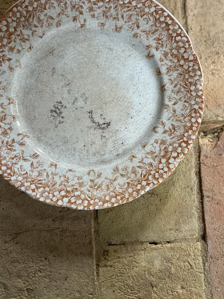 Crazed Henry Alcock Plate