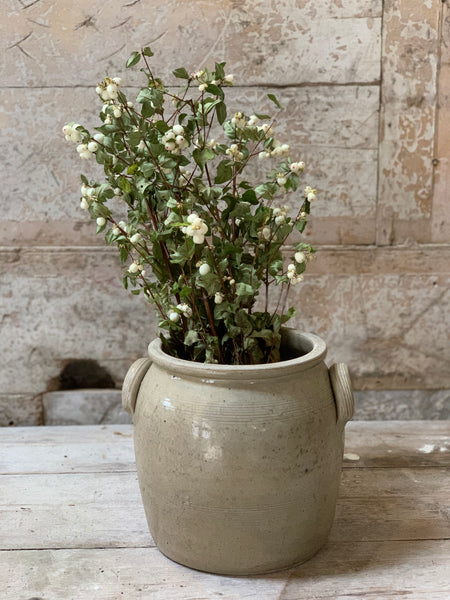 French Confit Jar Large