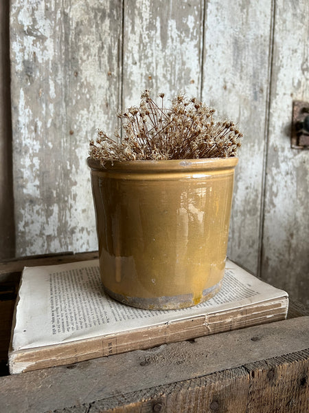 Large Vintage Confiture Pot