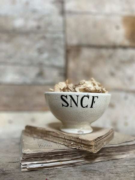 Rare Antique French Transferware Railway Bowl