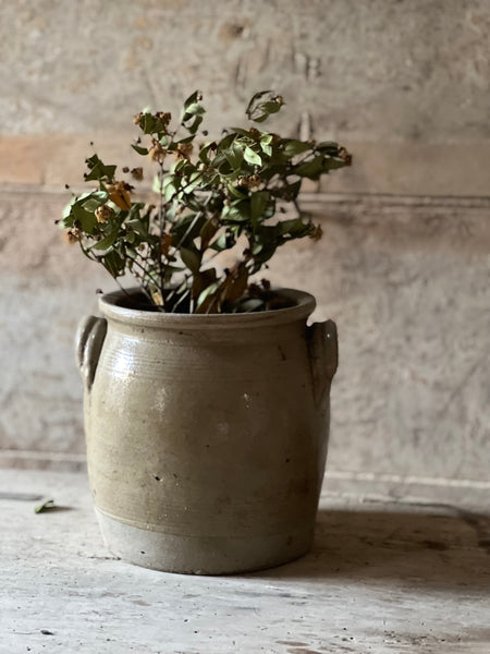 French Confit Jar Small