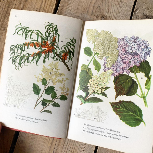 1960s Garden Shrubs & Trees Book