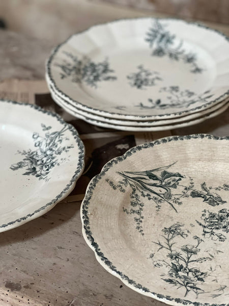 Vintage Transferware Terre de Fer Dishes