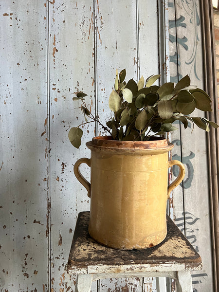 French Yellow Confit Jar