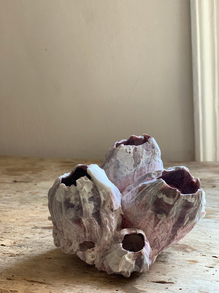 Vintage Pink/Purple Coral