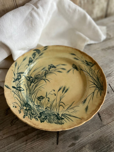 Vintage French Transferware Bird Plate