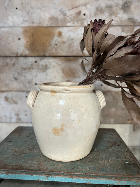 Large Confit Jar