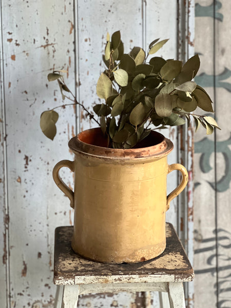 French Yellow Confit Jar