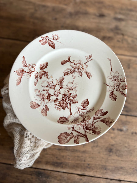 French Floral Transferware raised dish