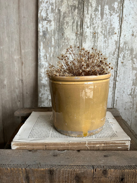 Large Vintage Confiture Pot