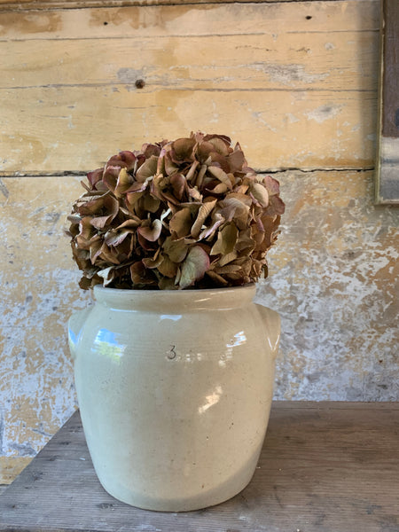 French No.3 Confit Jar